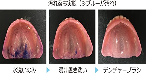 デンチャーブラシ 7