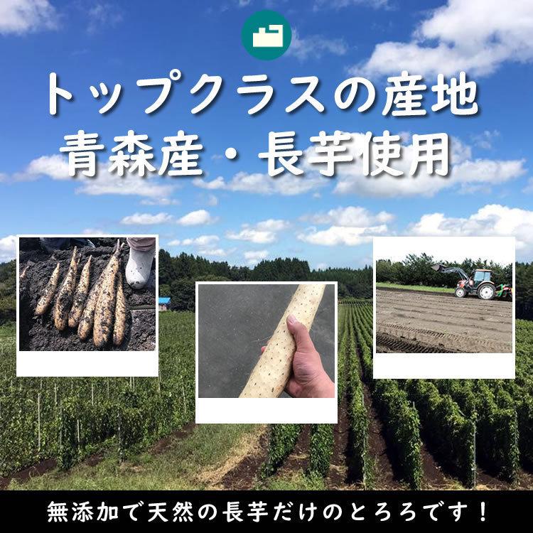 青森県産長いも サクサク千切り 3