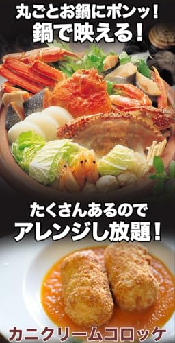 北海道産オオズワイガニ姿 5