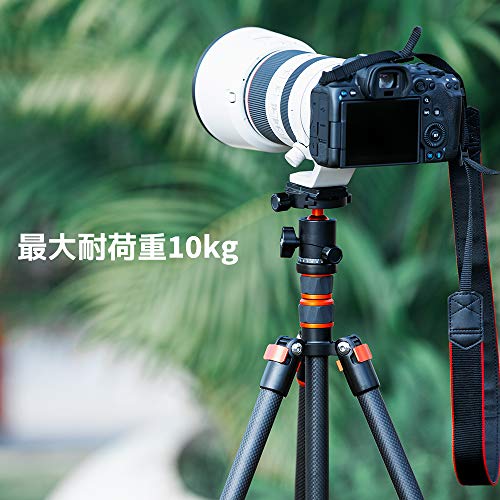 自由雲台付き アルミ製カメラ三脚 コンパクト 楽天市場】三脚 自由 雲台の