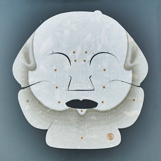 フローフシ Saiseiシートマスク フェイスライン用を他商品と比較 口コミや評判を実際に使ってレビューしました Mybest