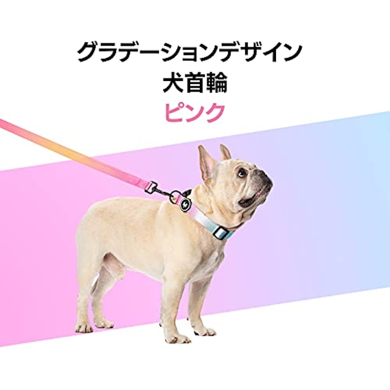 首輪 2