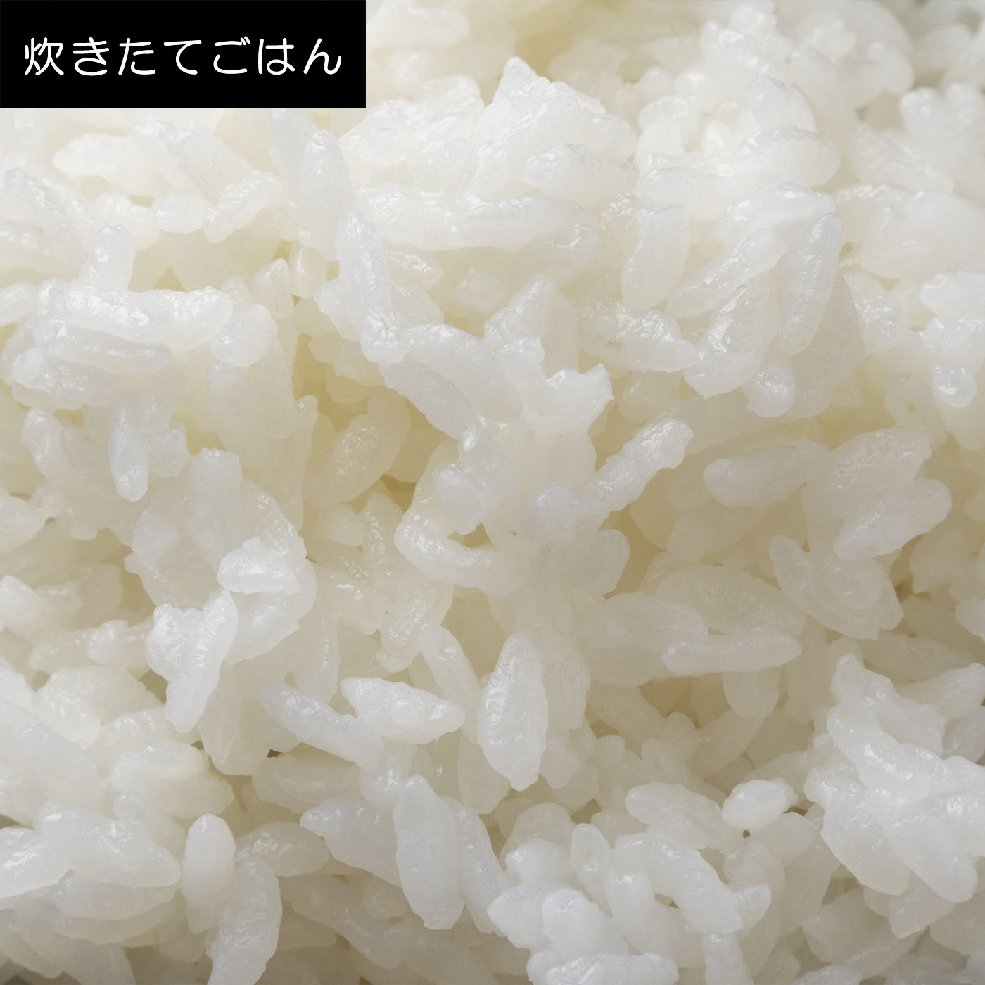 IH炊飯器 9