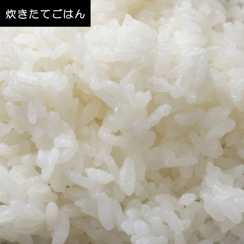IH炊飯器 9