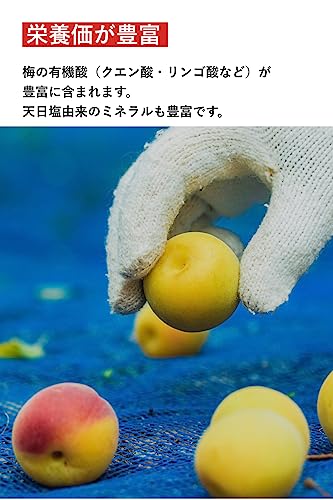 完熟南高梅の白梅酢 3