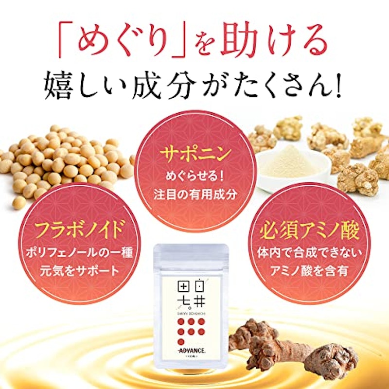 白井田七 3