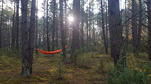 ZEN - Hammock 2
