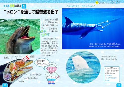 動物のクイズ図鑑 7