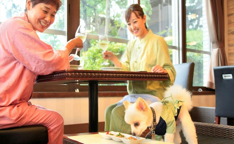 愛犬お宿 伊豆高原 3
