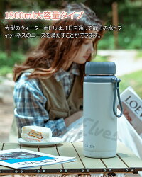 ステンレスボトル 2