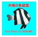 魚図鑑アプリのおすすめ人気ランキング【2026年6月】 5