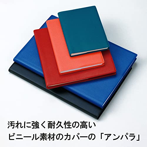 サパックス アンパラ 10