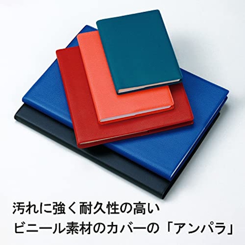 サパックス アンパラ 10