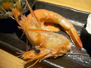 天使の海老 5