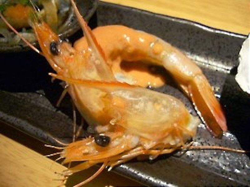 天使の海老 5