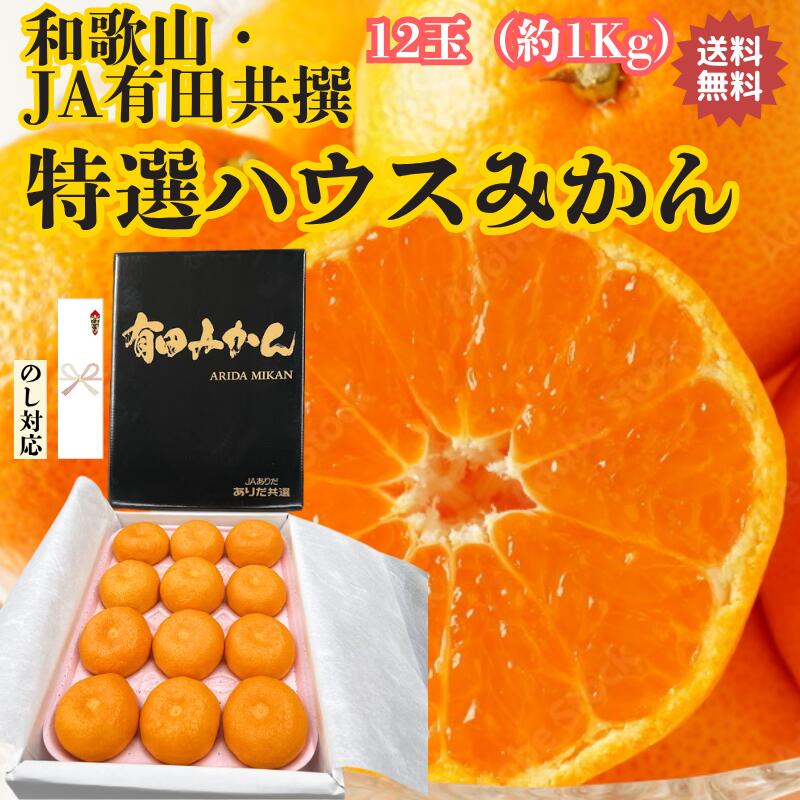 高級みかんのおすすめ人気ランキング【2026年7月】 1