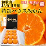 高級みかんのおすすめ人気ランキング【2026年7月】 1