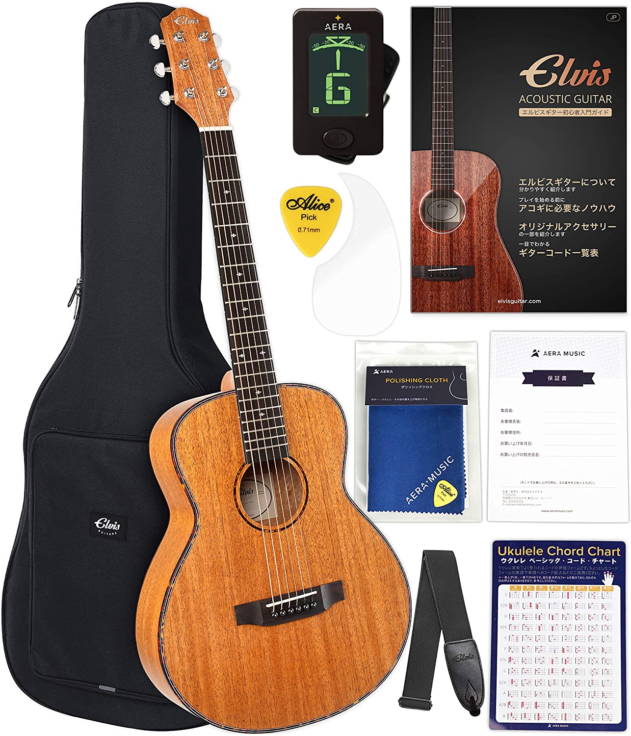 ELVIS Master Mini 10 1