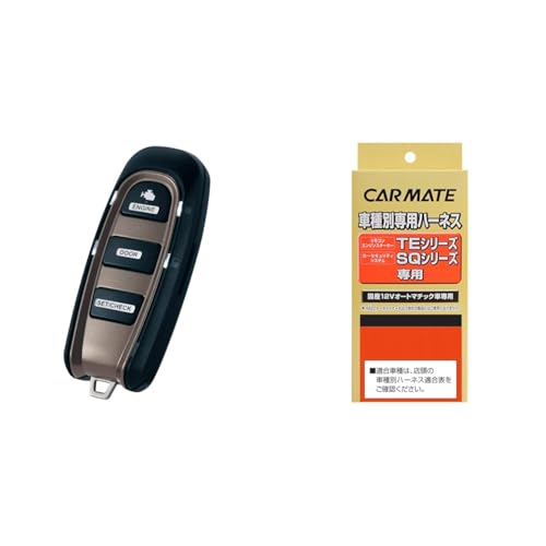 エンジンスターター アンサーバック 1