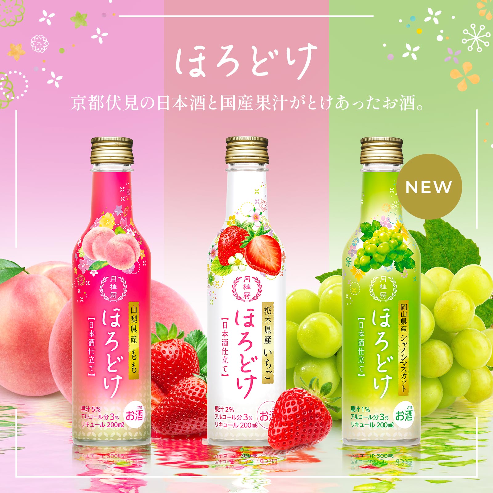ほろどけセット 2
