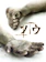 アスミック・エース ソウ 1