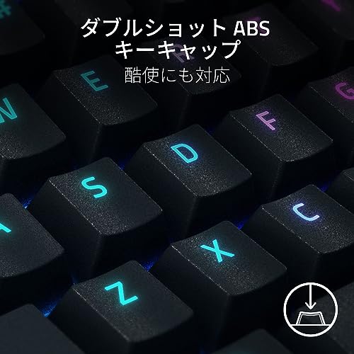 BlackWidow V4 6