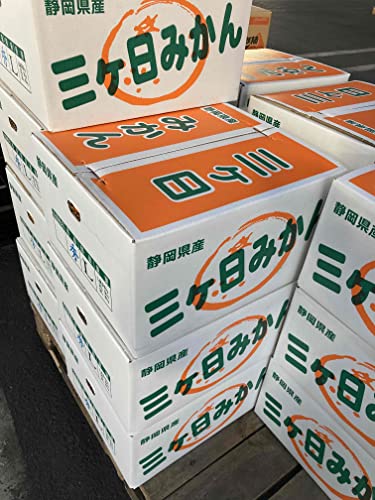 三ヶ日みかん 2