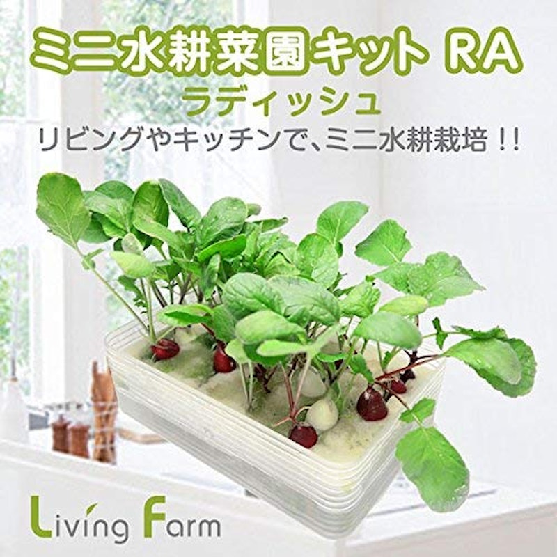 ミニ水耕菜園キットRA 2