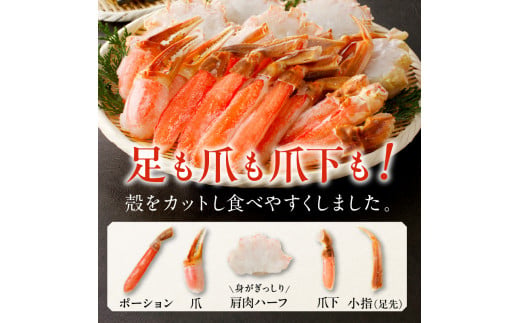本ズワイガニ1kg 4