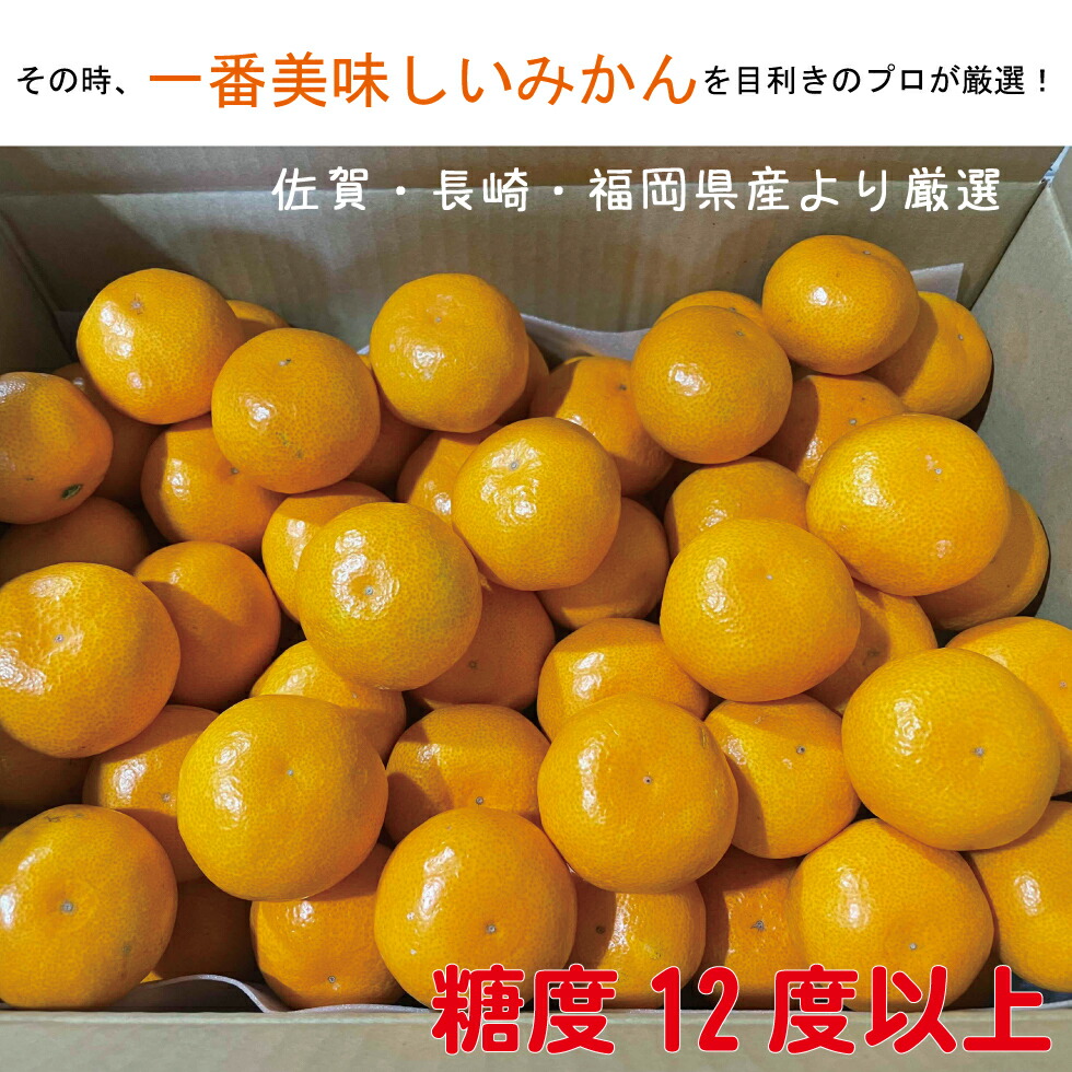 厳選みかん 2