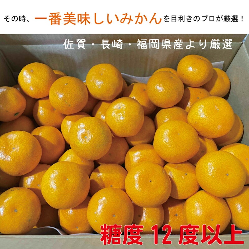 厳選みかん 2