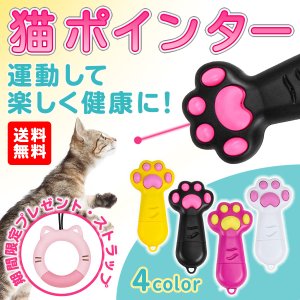 22年 レーザーポインターのおすすめ人気ランキング選 Mybest