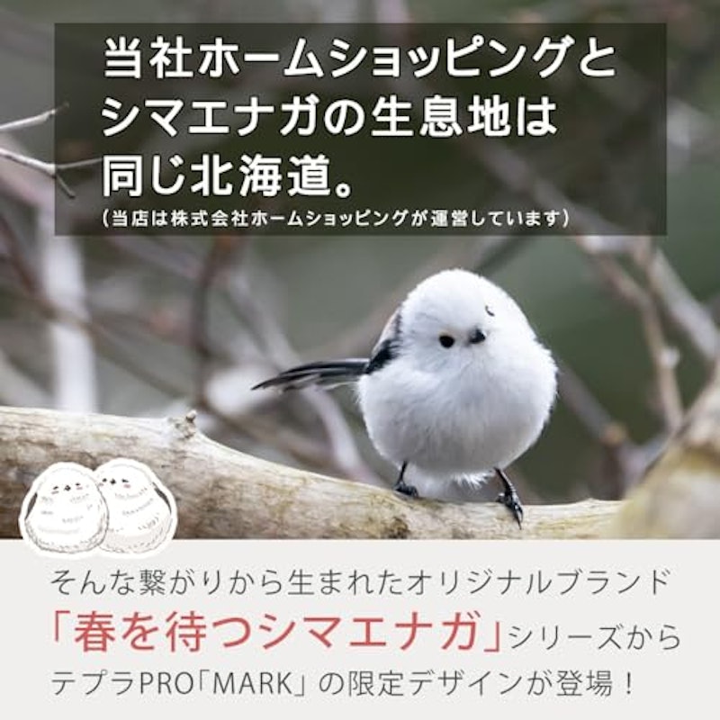 テプラPRO ラベルプリンター MARK 3