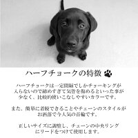 22年 犬用ハーフチョークのおすすめ人気ランキング選 Mybest
