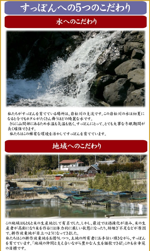すっぽん鍋セット 3