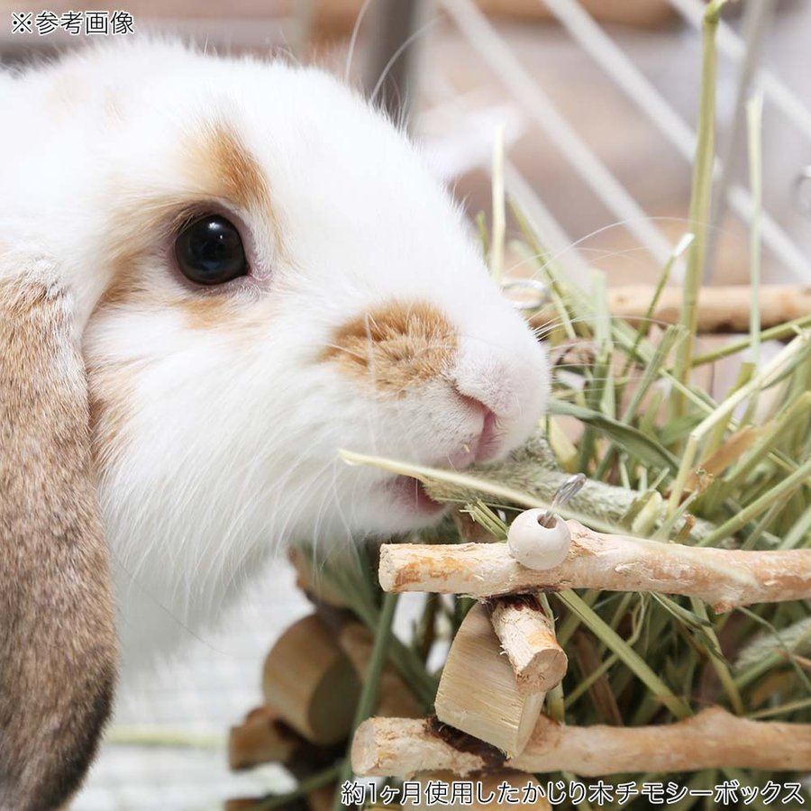 小動物のかじり木チモシーボックス 4