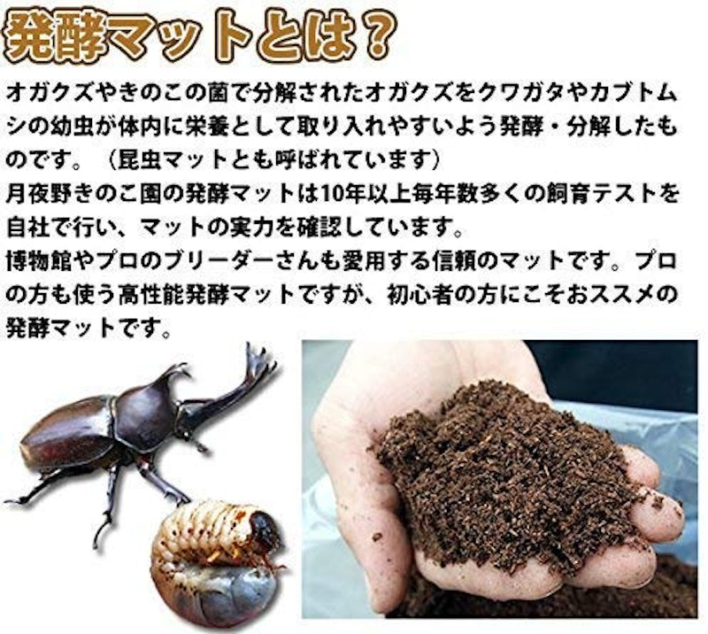 完熟Mat 2