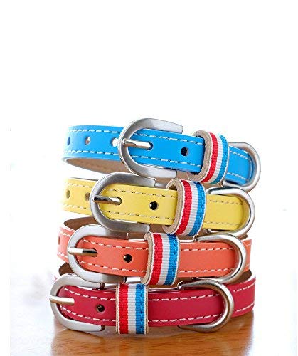 子犬用首輪のおすすめ人気ランキング【2026年3月】 | マイベスト