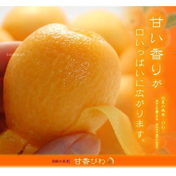 甘香びわ 2