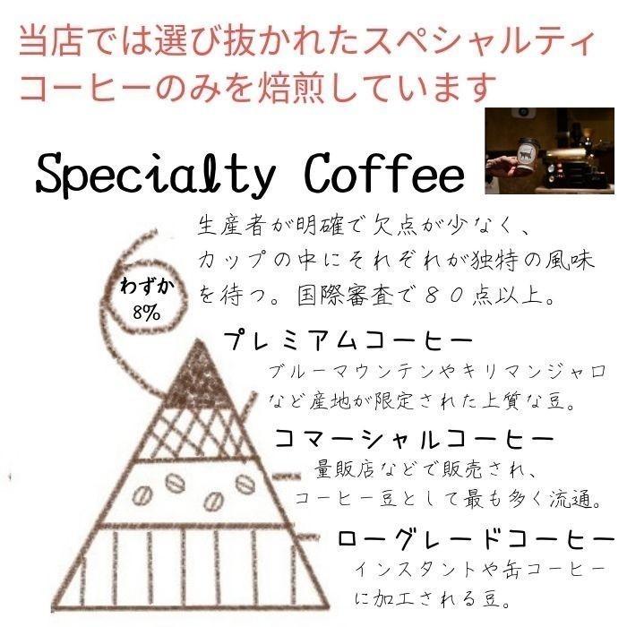 スペシャルティコーヒー 70ｇ＋猫柄キャニスター 4