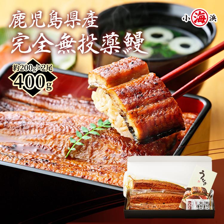 うなぎ蒲焼き 1