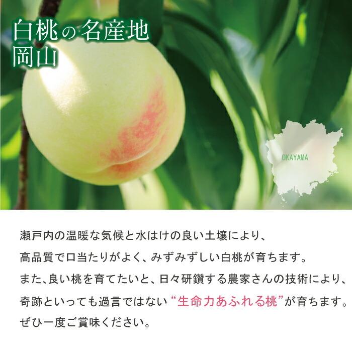 岡山白桃 3