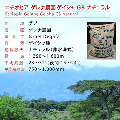 エチオピア ゲレナ農園 ゲイシャG3 ナチュラル 3