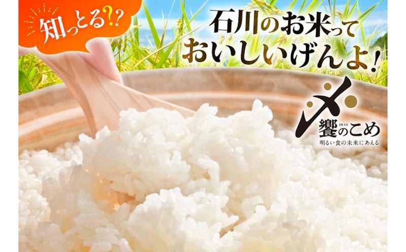 令和7年産 能登米こしひかり 2kg 2