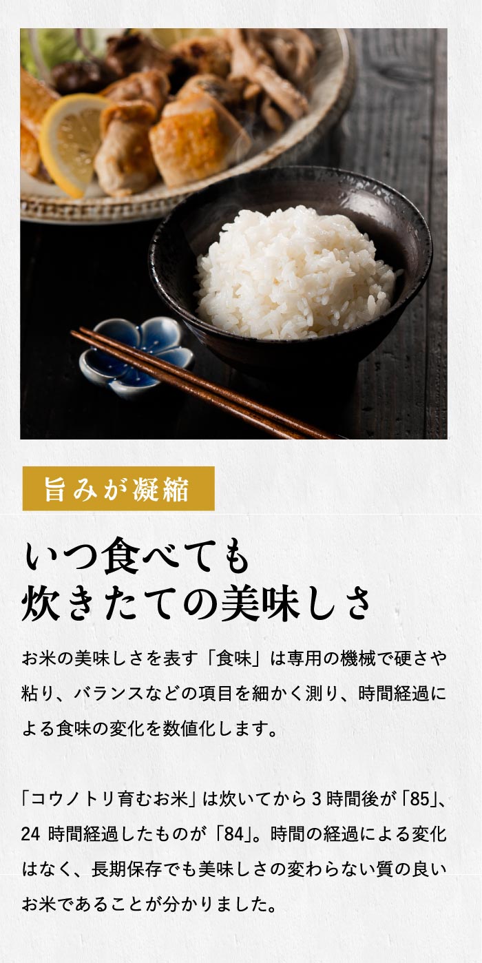 パックご飯 コウノトリ育むお米 4