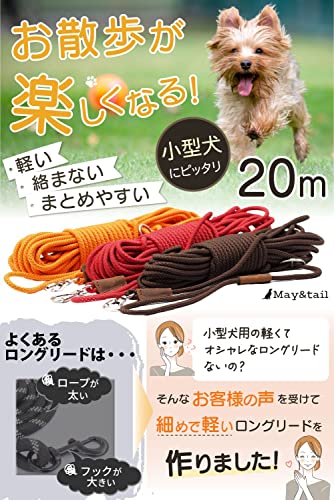 トレーニングリード 2