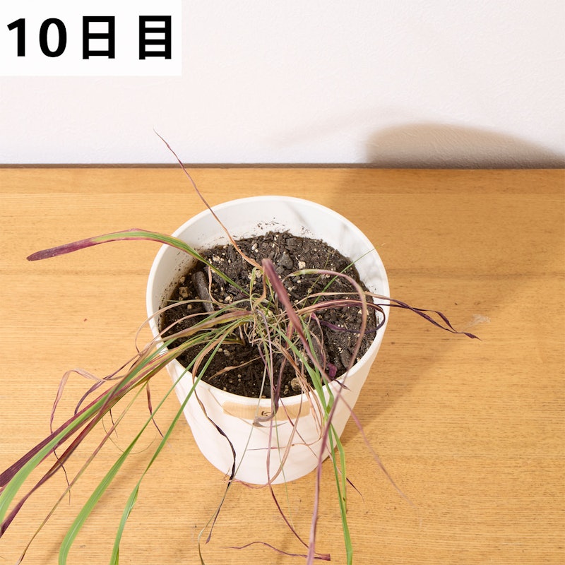 一刀両断 19