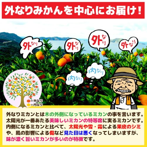 甘平 7