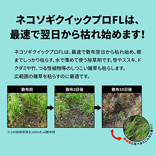 クイックプロFL 3