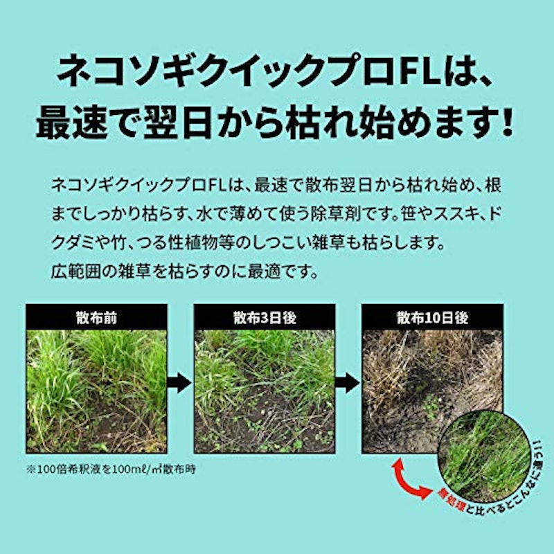 クイックプロFL 3